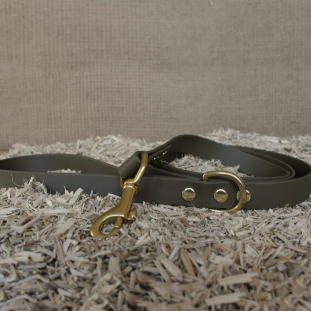 Laisse personnalisable Nequaam™ en Biothane