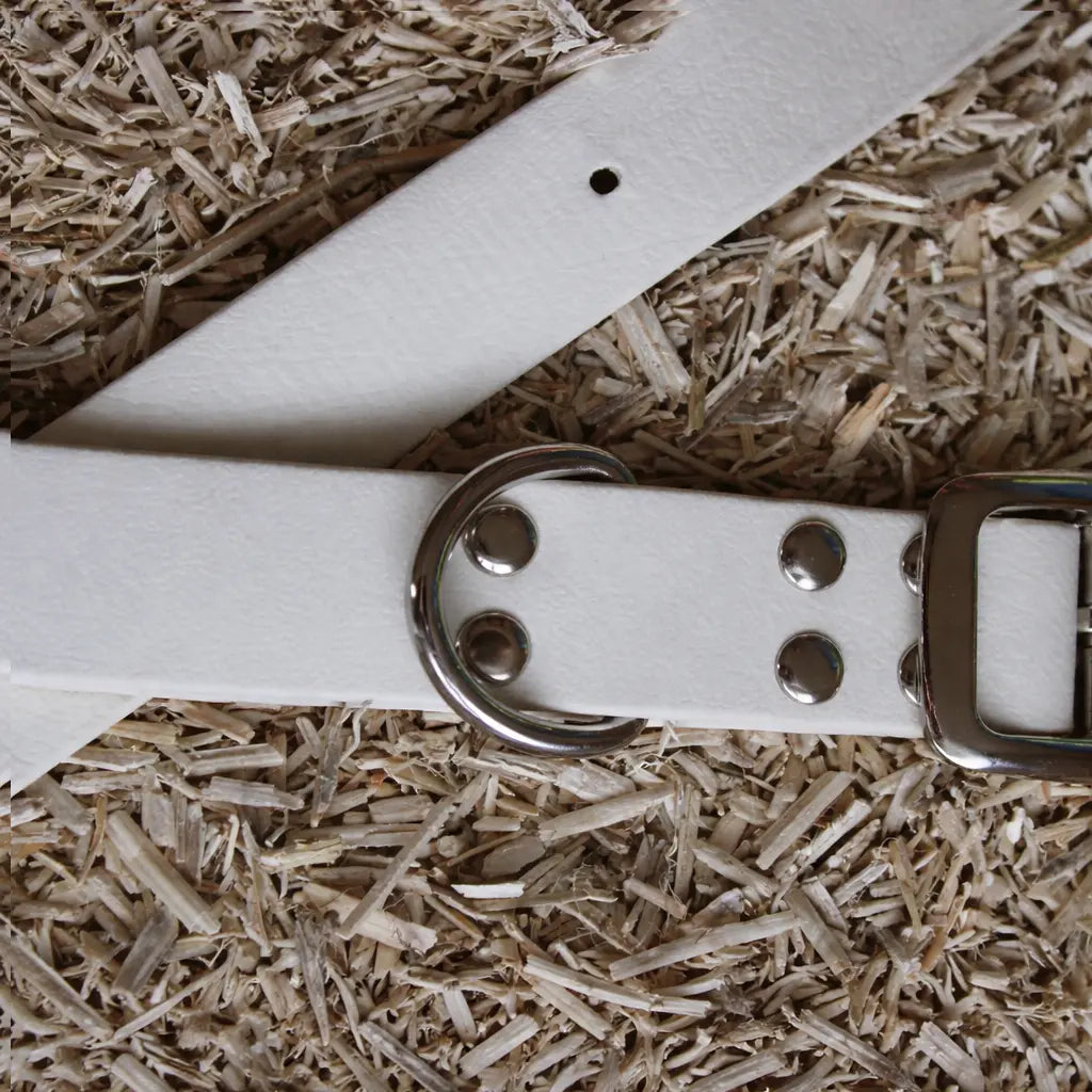 Collier Biothane personnalisable — Bouclerie Argent